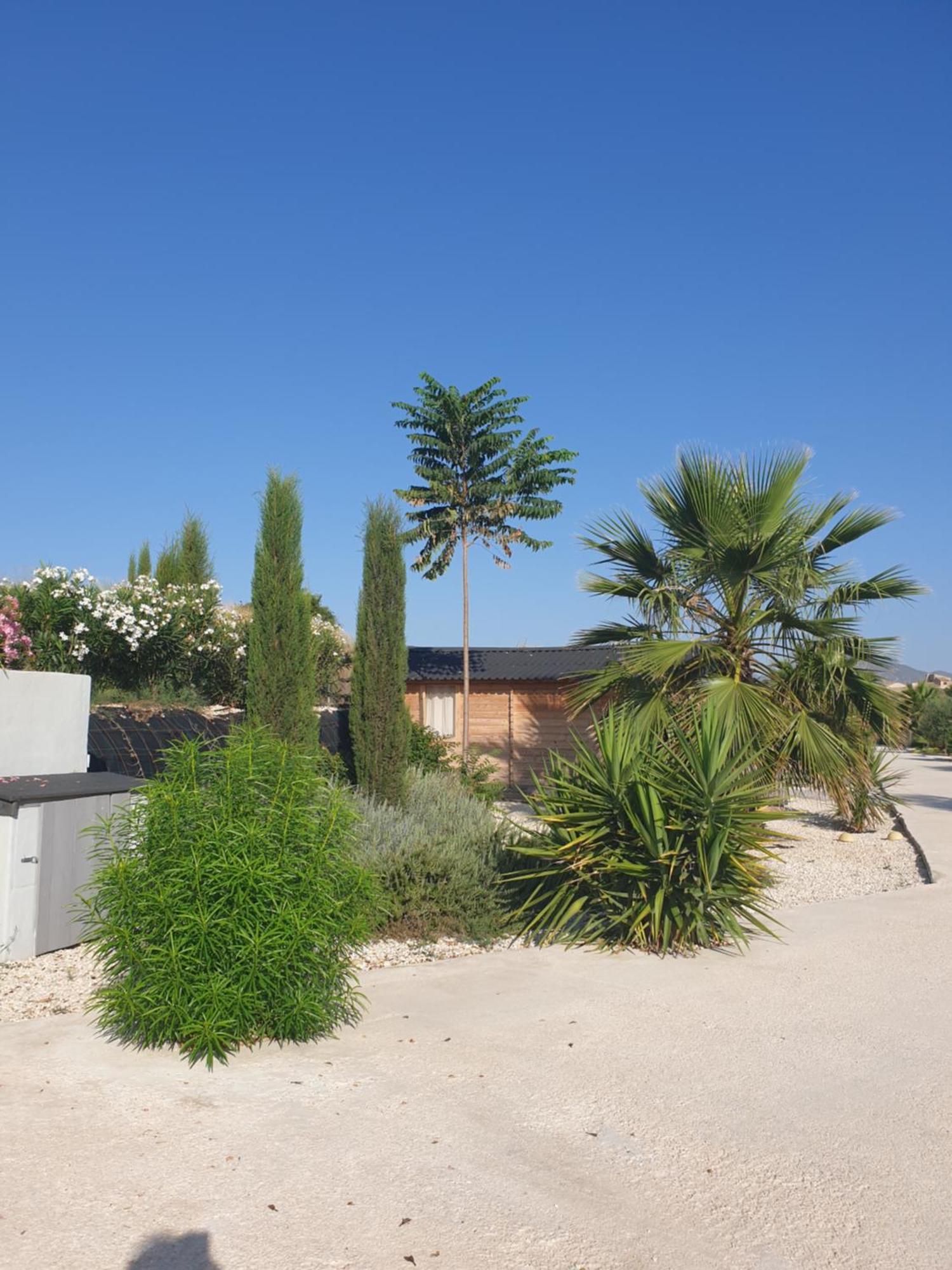 Casa De La Vida Liebetruth A Villa Aspe Buitenkant foto